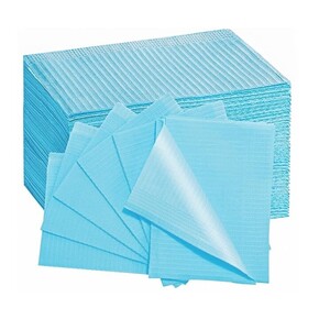 Nunc congue dui nec...