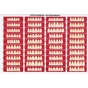 Nunc congue dui nec...