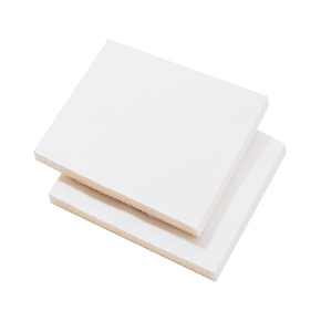 Nunc congue dui nec...