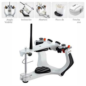 Nunc congue dui nec...