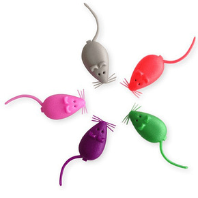 Nunc congue dui nec...