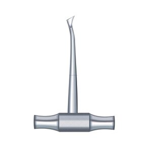 Nunc congue dui nec...