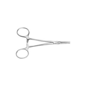 Nunc congue dui nec...