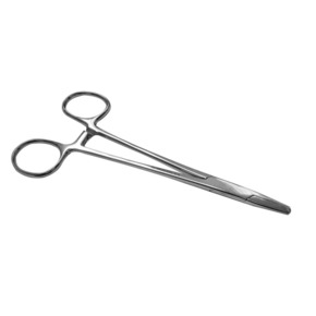 Nunc congue dui nec...