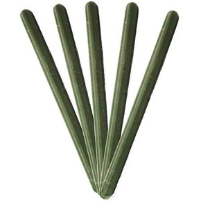 Nunc congue dui nec...