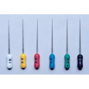 Nunc congue dui nec...